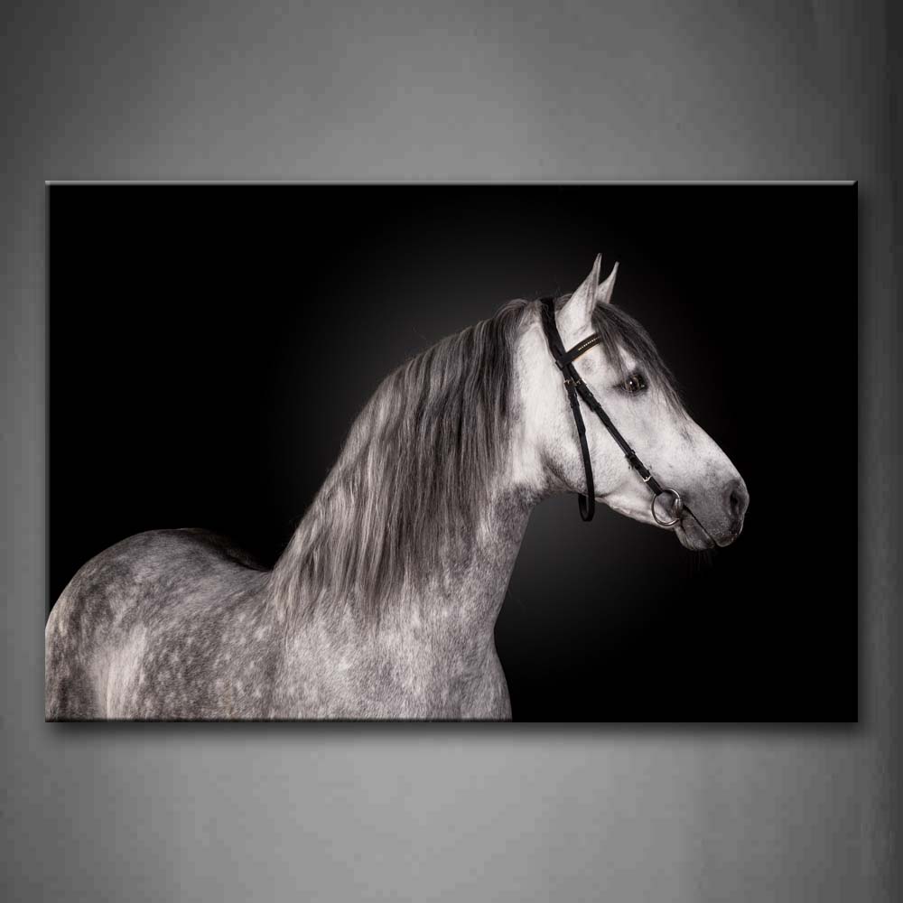 Gray Horse Portrait Black Background Wall Art Painting The Picture Print On Canvas Animal Pictures For Home Decor Decoration Gift 