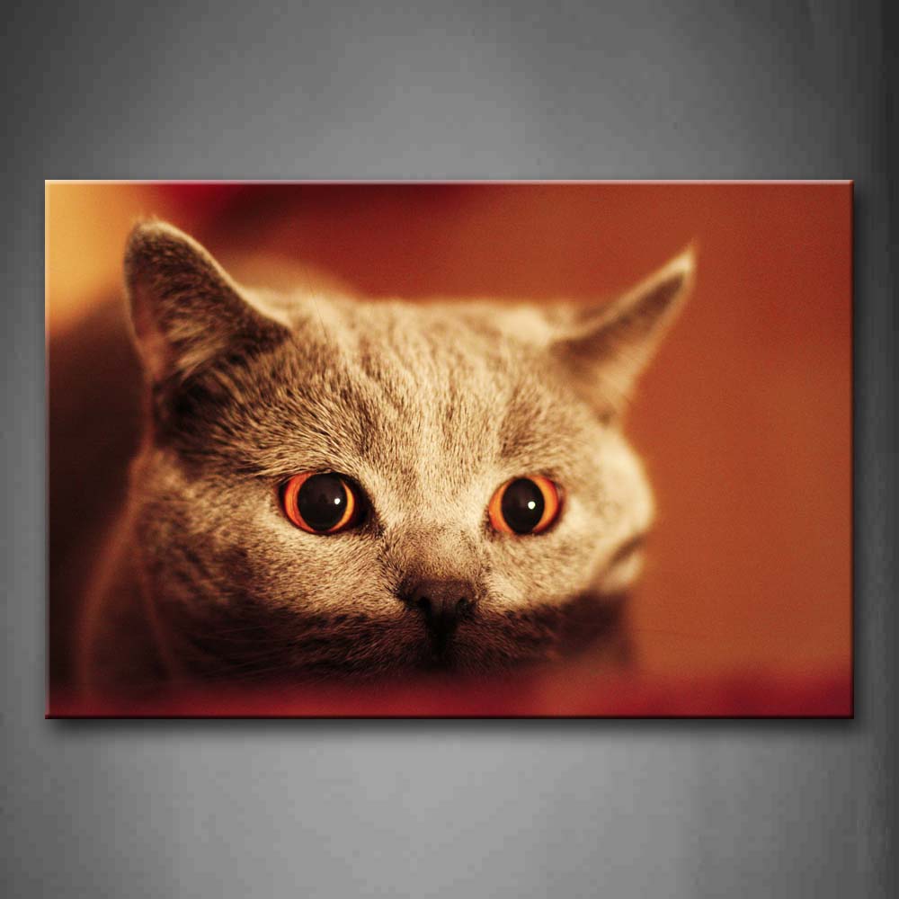 Gray Cat Portrait In Pink Background Wall Art Painting Pictures Print On Canvas Animal The Picture For Home Modern Decoration 