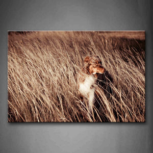 Dog Walk In Thick Dry Grass Wall Art Painting The Picture Print On Canvas Animal Pictures For Home Decor Decoration Gift 