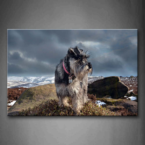 Dog Stand On Rock Grass Snow Mountain Wall Art Painting Pictures Print On Canvas Animal The Picture For Home Modern Decoration 