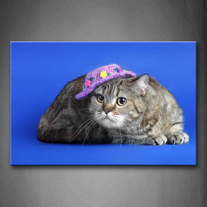 Cat Wear Purple Cap Squat In Blue Background Wall Art Painting The Picture Print On Canvas Animal Pictures For Home Decor Decoration Gift 