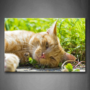 Yellow Cat Lie In Grass  Wall Art Painting The Picture Print On Canvas Animal Pictures For Home Decor Decoration Gift 