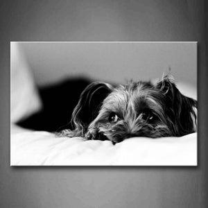 Gray And Black Dog Grovel On White Blanket Wall Art Painting Pictures Print On Canvas Animal The Picture For Home Modern Decoration 