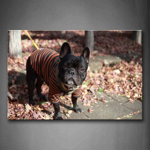 French Bulldog Is Tied Up Fallen Leafs Tree Wall Art Painting The Picture Print On Canvas Animal Pictures For Home Decor Decoration Gift 