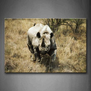 Rhino Walk On Grassland Trees Wall Art Painting The Picture Print On Canvas Animal Pictures For Home Decor Decoration Gift 