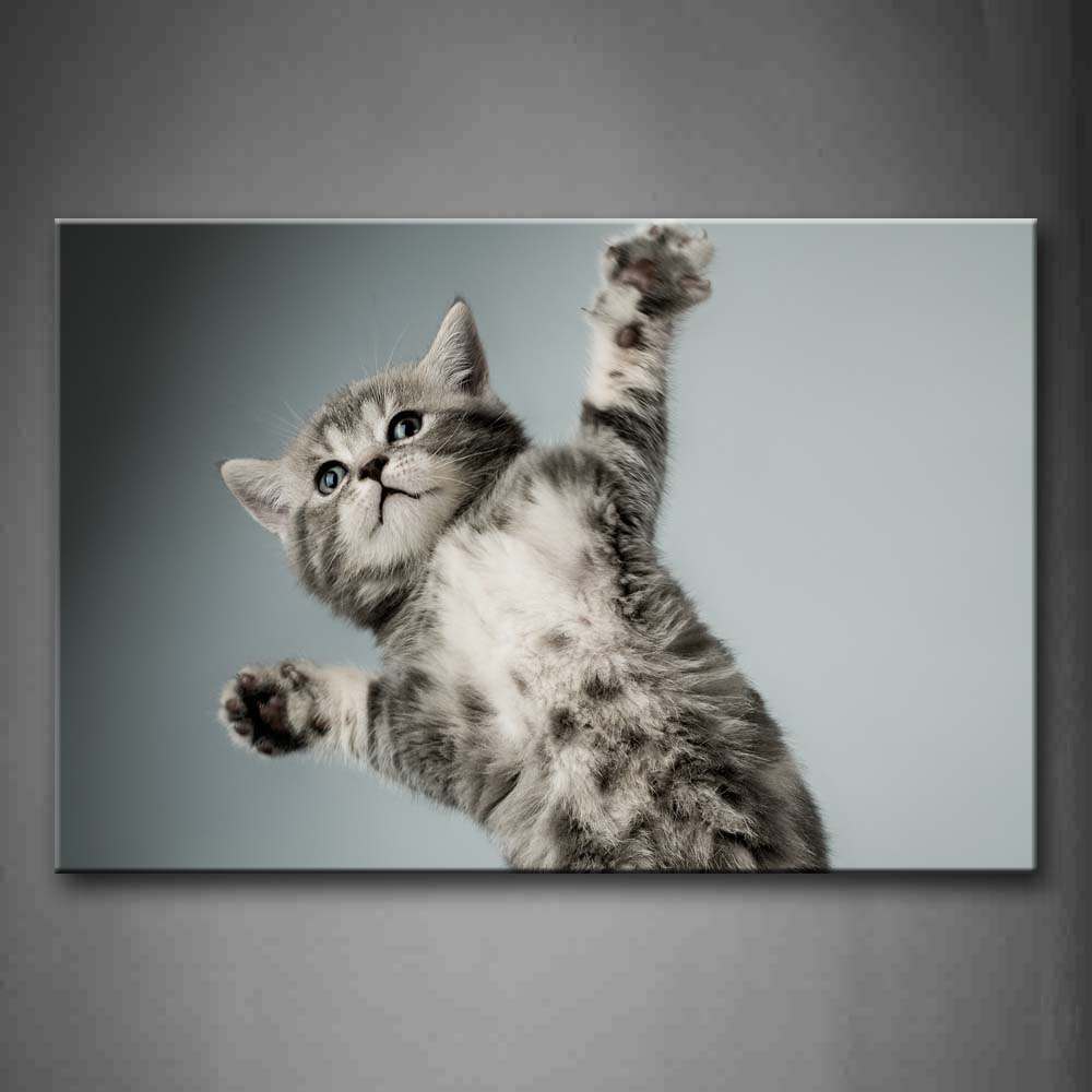 Gray Cat Jump Gray Background Wall Art Painting Pictures Print On Canvas Animal The Picture For Home Modern Decoration 