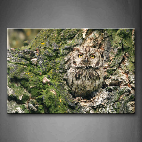 Gray Owl Stand On Tree Hole Moss Wall Art Painting The Picture Print On Canvas Animal Pictures For Home Decor Decoration Gift 