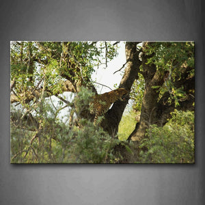 Leopard Howl In Big Tree Wall Art Painting The Picture Print On Canvas Animal Pictures For Home Decor Decoration Gift 