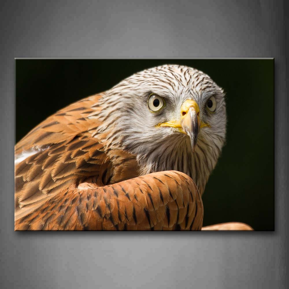 Yellow And White Eagle  Black Background Wall Art Painting Pictures Print On Canvas Animal The Picture For Home Modern Decoration 