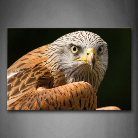 Yellow And White Eagle  Black Background Wall Art Painting Pictures Print On Canvas Animal The Picture For Home Modern Decoration 