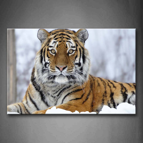 Tiger Bend Over On Snow Winter Wall Art Painting The Picture Print On Canvas Animal Pictures For Home Decor Decoration Gift 