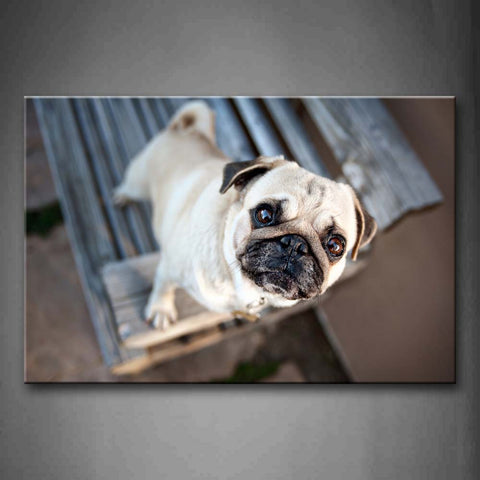 Yellow Pug Stand At Chair And Look Up Wall Art Painting Pictures Print On Canvas Animal The Picture For Home Modern Decoration 
