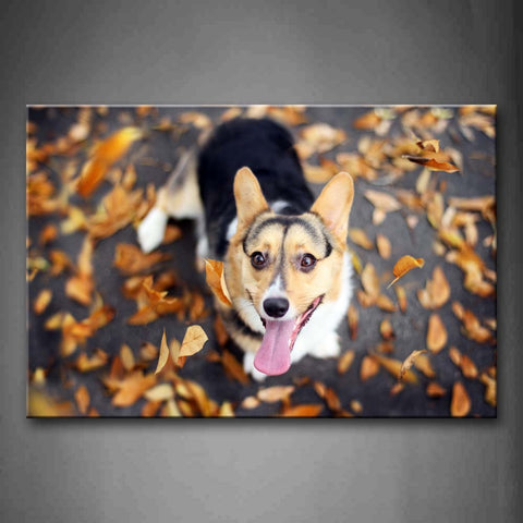 Black And Yellow Dog Look Up At Fallen Leafs Wall Art Painting Pictures Print On Canvas Animal The Picture For Home Modern Decoration 