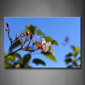 White And Black Butterfly Stop On Red Flower Branch Wall Art Painting The Picture Print On Canvas Animal Pictures For Home Decor Decoration Gift 