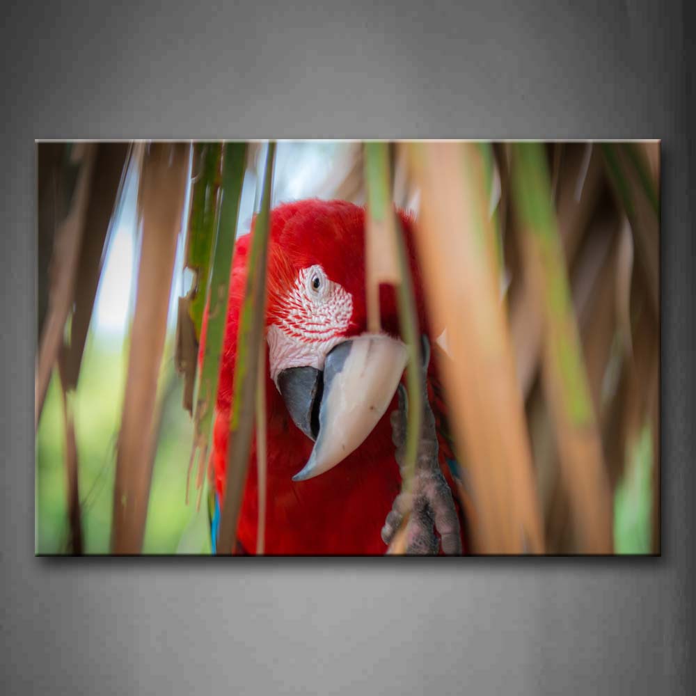 Red Macaw Behind Dry Leafs Wall Art Painting The Picture Print On Canvas Animal Pictures For Home Decor Decoration Gift 