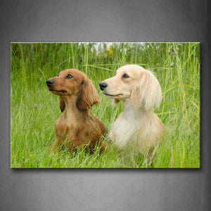 Two Dachshunds Sit In Green Grass Wall Art Painting Pictures Print On Canvas Animal The Picture For Home Modern Decoration 