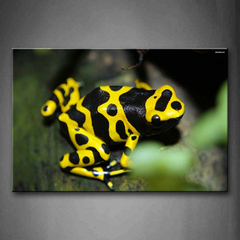 Poison Dart Frog On Wood  Wall Art Painting The Picture Print On Canvas Animal Pictures For Home Decor Decoration Gift 