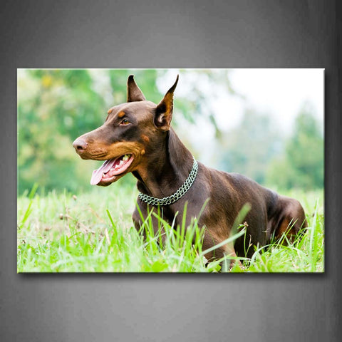 Doberman Pinscher Sit In Grass Open Mouth Wall Art Painting Pictures Print On Canvas Animal The Picture For Home Modern Decoration 