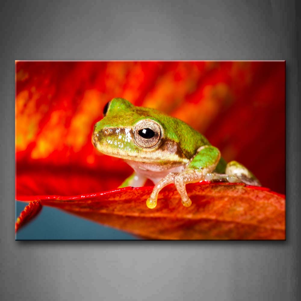 Green Frog On Red Leaf Wall Art Painting The Picture Print On Canvas Animal Pictures For Home Decor Decoration Gift 