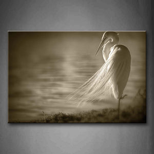 White Heron Stand On Lake Side Wall Art Painting Pictures Print On Canvas Animal The Picture For Home Modern Decoration 