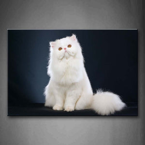 White Cat Sit In Dark Background Wall Art Painting Pictures Print On Canvas Animal The Picture For Home Modern Decoration 