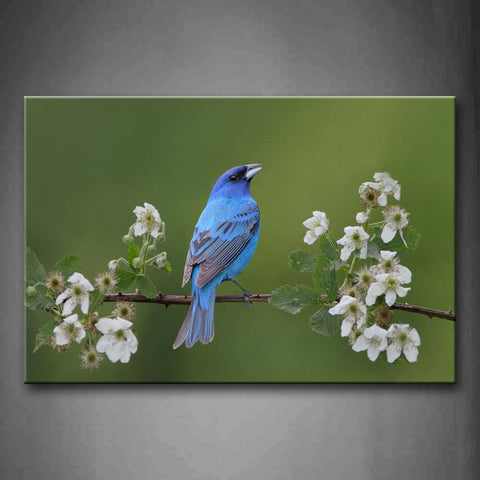 Blue Bird Stand On Branch Flower Wall Art Painting Pictures Print On Canvas Animal The Picture For Home Modern Decoration 