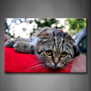 Gray Cat Lie On Red Blanket  Wall Art Painting Pictures Print On Canvas Animal The Picture For Home Modern Decoration 