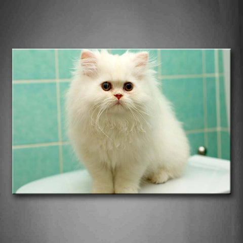 White Cat Sit In Toilet Wall Art Painting The Picture Print On Canvas Animal Pictures For Home Decor Decoration Gift 