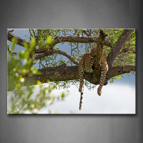 Leopard Sleep On Big Tree Branch Wall Art Painting The Picture Print On Canvas Animal Pictures For Home Decor Decoration Gift 