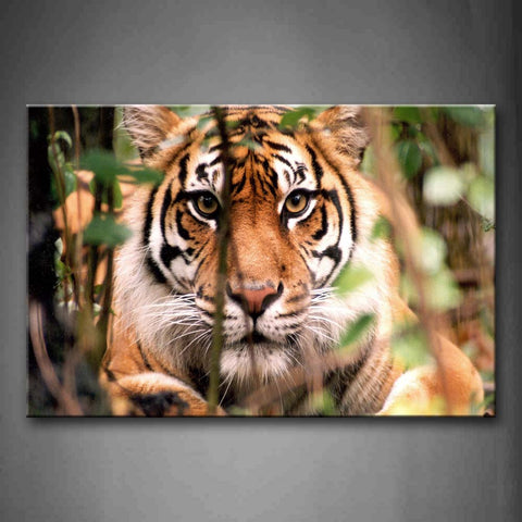 Tiger Hide In Plant Portrait Wall Art Painting Pictures Print On Canvas Animal The Picture For Home Modern Decoration 