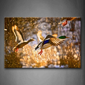 Colorful Birds Fly Drop Of Water Wall Art Painting The Picture Print On Canvas Animal Pictures For Home Decor Decoration Gift 