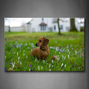 Yellow Dachshund Sit On Purple Anthemy Grass Wall Art Painting Pictures Print On Canvas Animal The Picture For Home Modern Decoration 