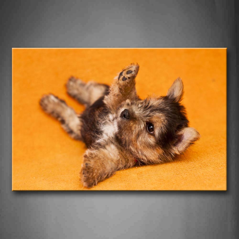 Yellow Orange Small Dog Lie On Orange Blanket Wall Art Painting The Picture Print On Canvas Animal Pictures For Home Decor Decoration Gift 