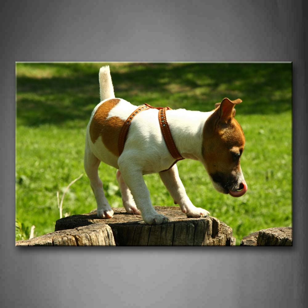 Yellow White Dog Stand On Wood Lawn Wall Art Painting The Picture Print On Canvas Animal Pictures For Home Decor Decoration Gift 