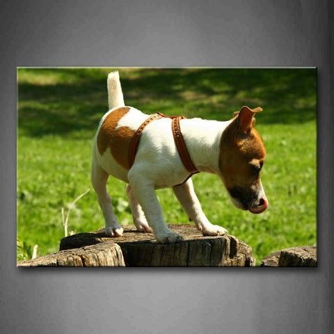 Yellow White Dog Stand On Wood Lawn Wall Art Painting The Picture Print On Canvas Animal Pictures For Home Decor Decoration Gift 