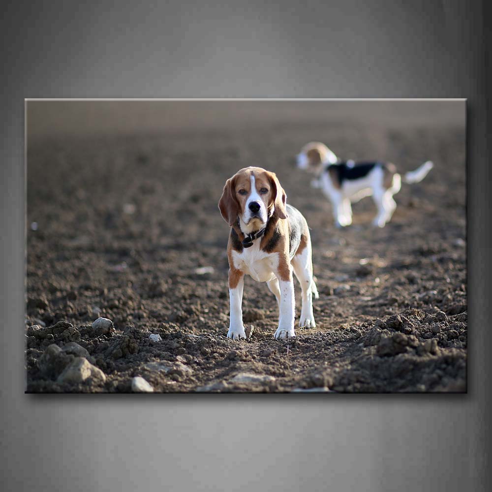 Two Beagles Stand On Mud Land Wall Art Painting The Picture Print On Canvas Animal Pictures For Home Decor Decoration Gift 