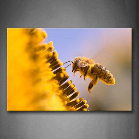 Yellow Bee Fly Above Yellow Flower  Wall Art Painting Pictures Print On Canvas Animal The Picture For Home Modern Decoration 