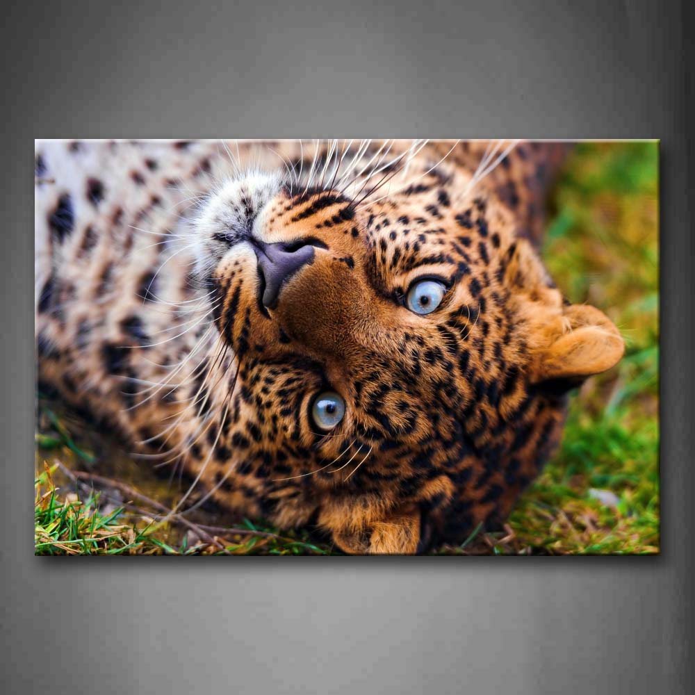 Leopard Reverse Body Head Portrait Wall Art Painting The Picture Print On Canvas Animal Pictures For Home Decor Decoration Gift 