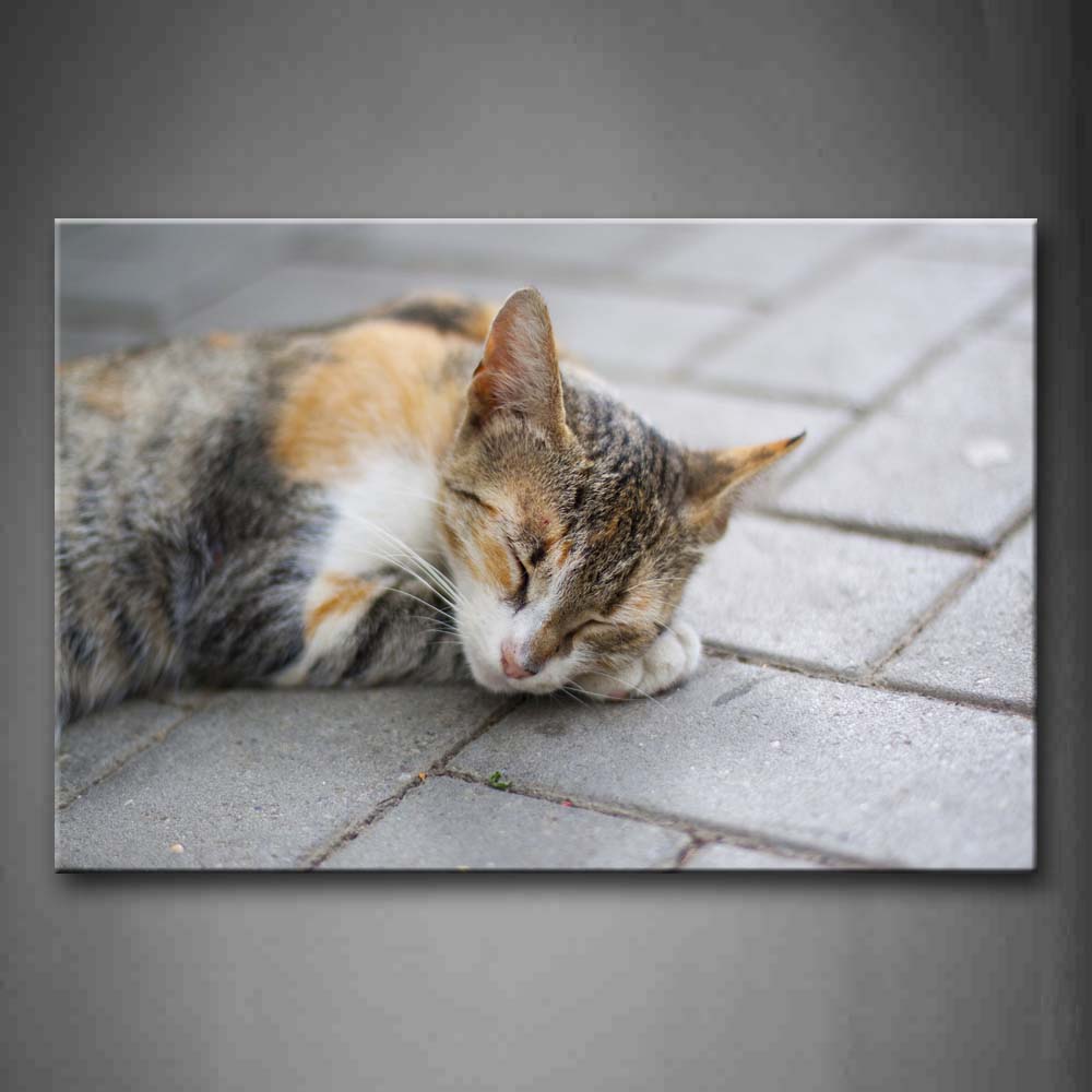 Cat Lie On Road To Sleep Wall Art Painting Pictures Print On Canvas Animal The Picture For Home Modern Decoration 