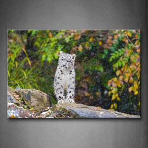 Snow Leopard Sit On Rock Tree Fallen Leafs Snow  Wall Art Painting The Picture Print On Canvas Animal Pictures For Home Decor Decoration Gift 