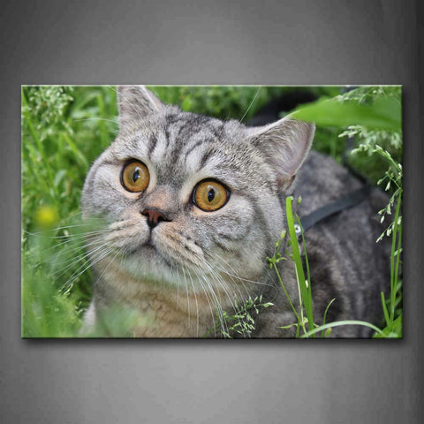 Gray Cat In Grass And Staring Wall Art Painting Pictures Print On Canvas Animal The Picture For Home Modern Decoration 