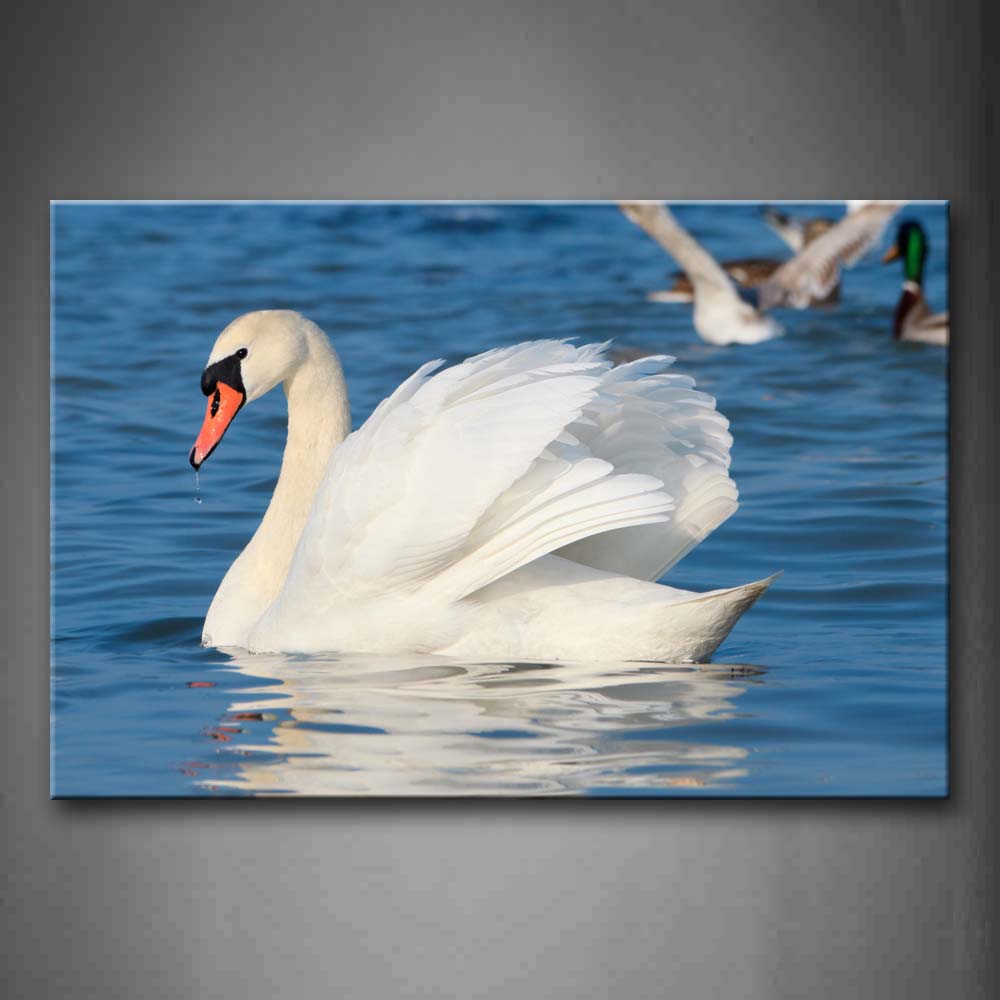 White Swan Simming On Water Beautiful Feather Wall Art Painting The Picture Print On Canvas Animal Pictures For Home Decor Decoration Gift 