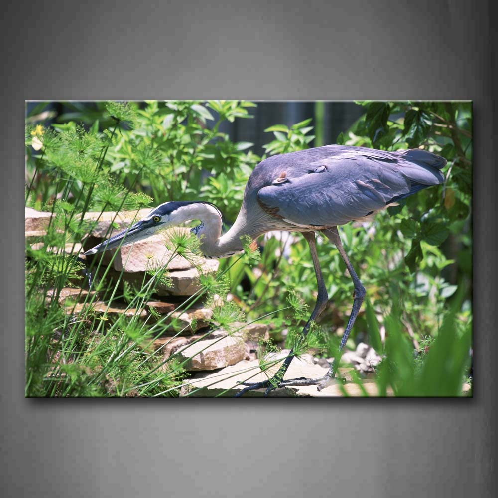 Gray Bird Stand Stone Staring Plant Tree Wall Art Painting Pictures Print On Canvas Animal The Picture For Home Modern Decoration 