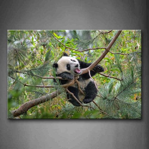 Panda Climb In Pine Tree Branch Wall Art Painting Pictures Print On Canvas Animal The Picture For Home Modern Decoration 