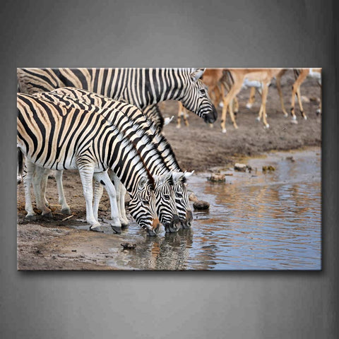 Several Zebras Drinking Water In Benchland Wall Art Painting Pictures Print On Canvas Animal The Picture For Home Modern Decoration 