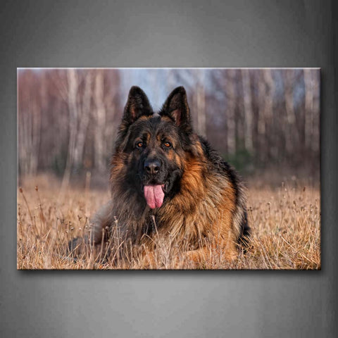 German Shepherd Lie On Dry Grassland Near Forest Wall Art Painting The Picture Print On Canvas Animal Pictures For Home Decor Decoration Gift 