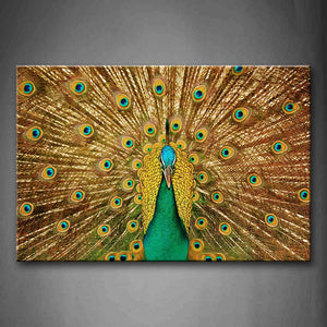 Beautiful Peacock Open Wings Wall Art Painting Pictures Print On Canvas Animal The Picture For Home Modern Decoration 