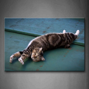 Cat Is Lying Stretch  Wall Art Painting Pictures Print On Canvas Animal The Picture For Home Modern Decoration 