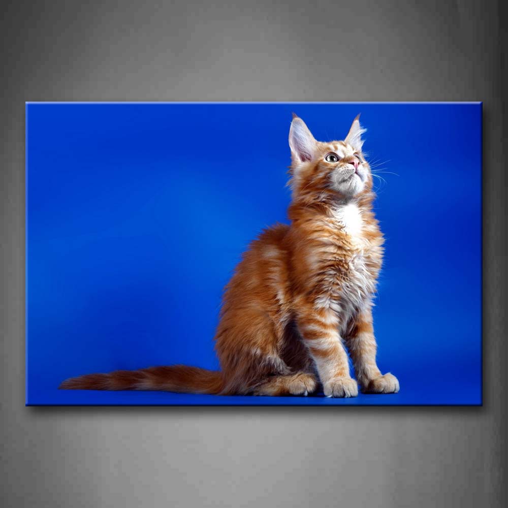 Yellow Cat Sit In Blue Background Wall Art Painting The Picture Print On Canvas Animal Pictures For Home Decor Decoration Gift 