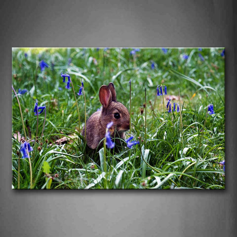 Gray Rabbit In Green Grass Blue Flower Wall Art Painting Pictures Print On Canvas Animal The Picture For Home Modern Decoration 